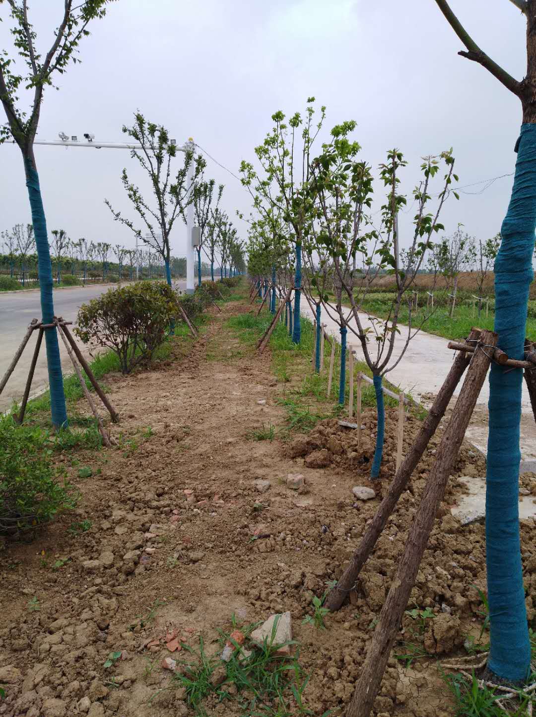 0cb7391e019d0c2b1b7cf014672942d